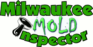 Milwaukee Mold Inspector